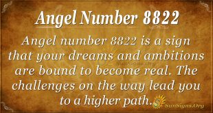 Angel Number 8822