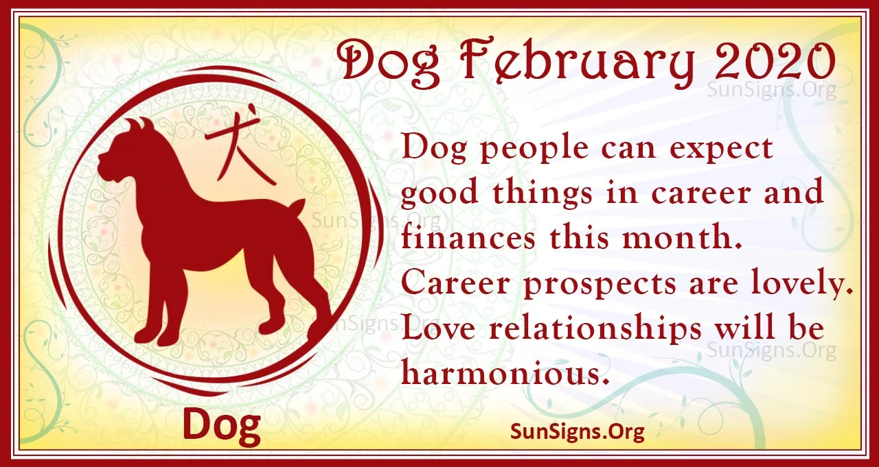 dog february 2020