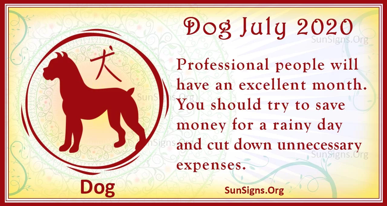 dog july 2020