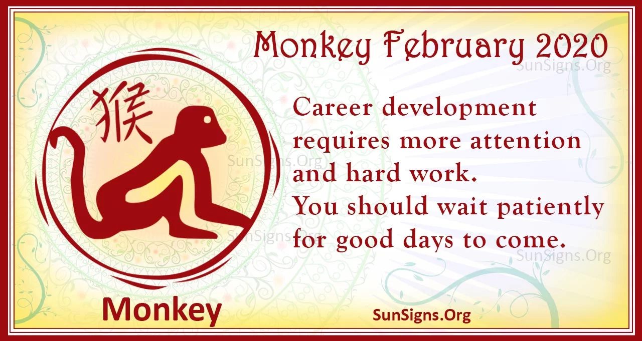 monkey february 2020