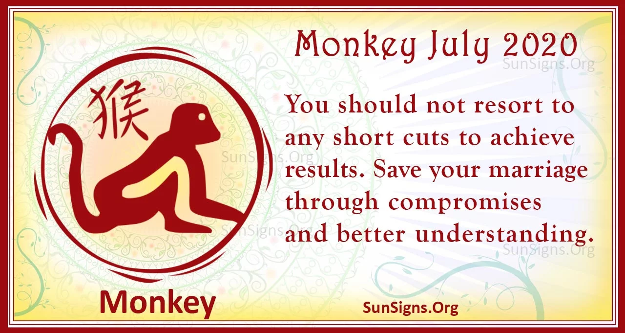 monkey july 2020