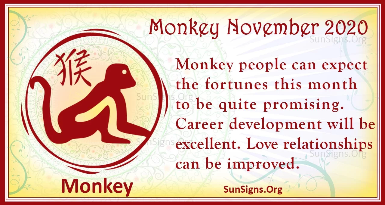 monkey november 2020