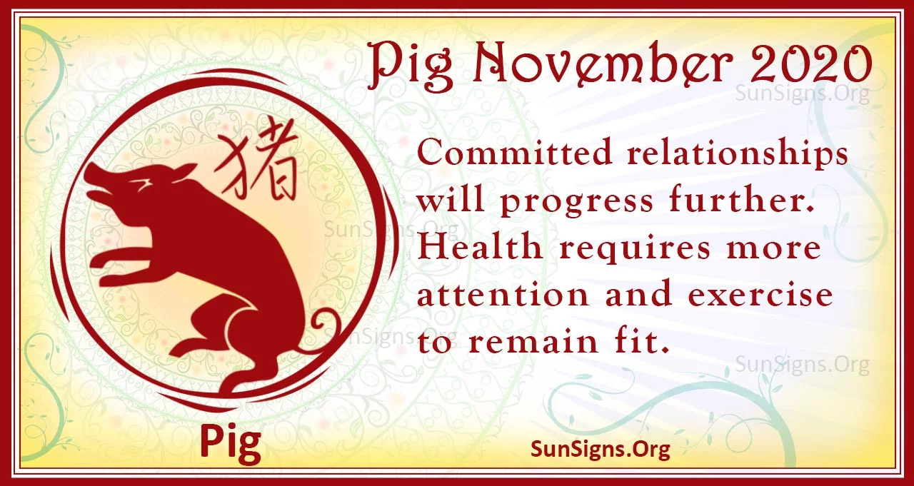pig november 2020