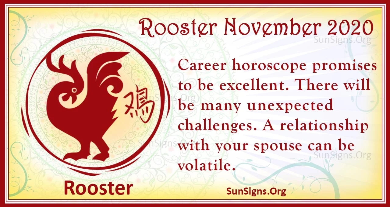 rooster november 2020