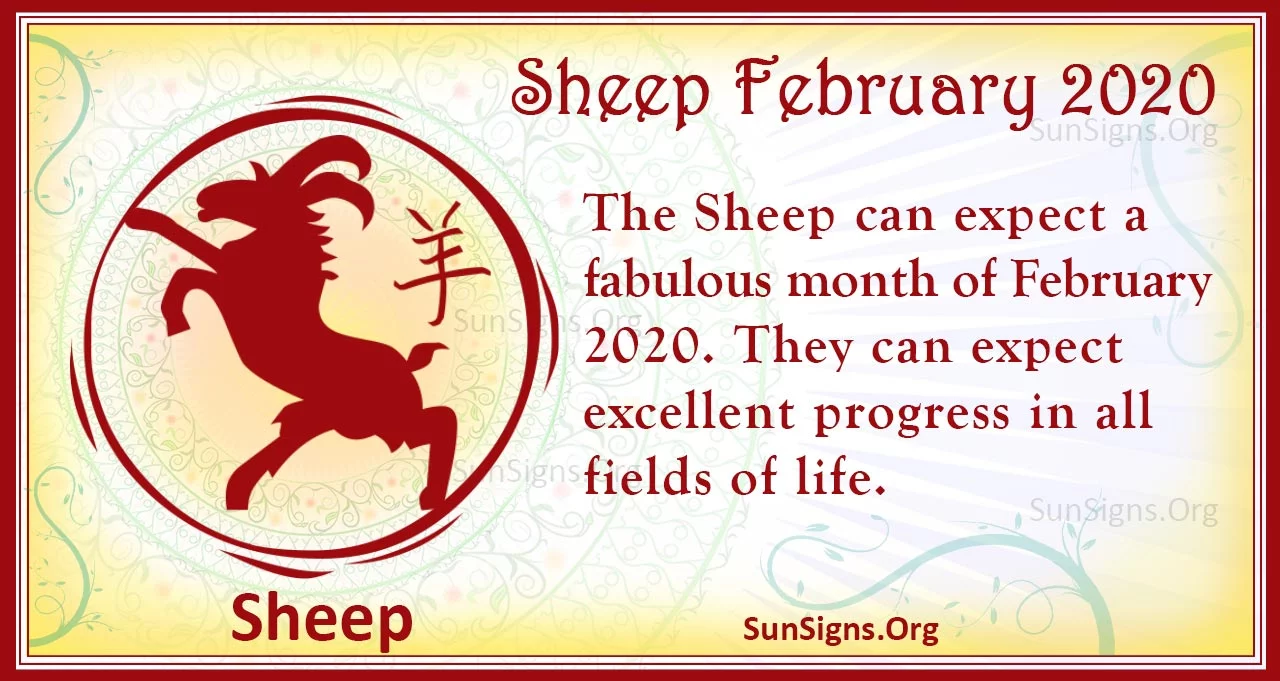 sheep february 2020