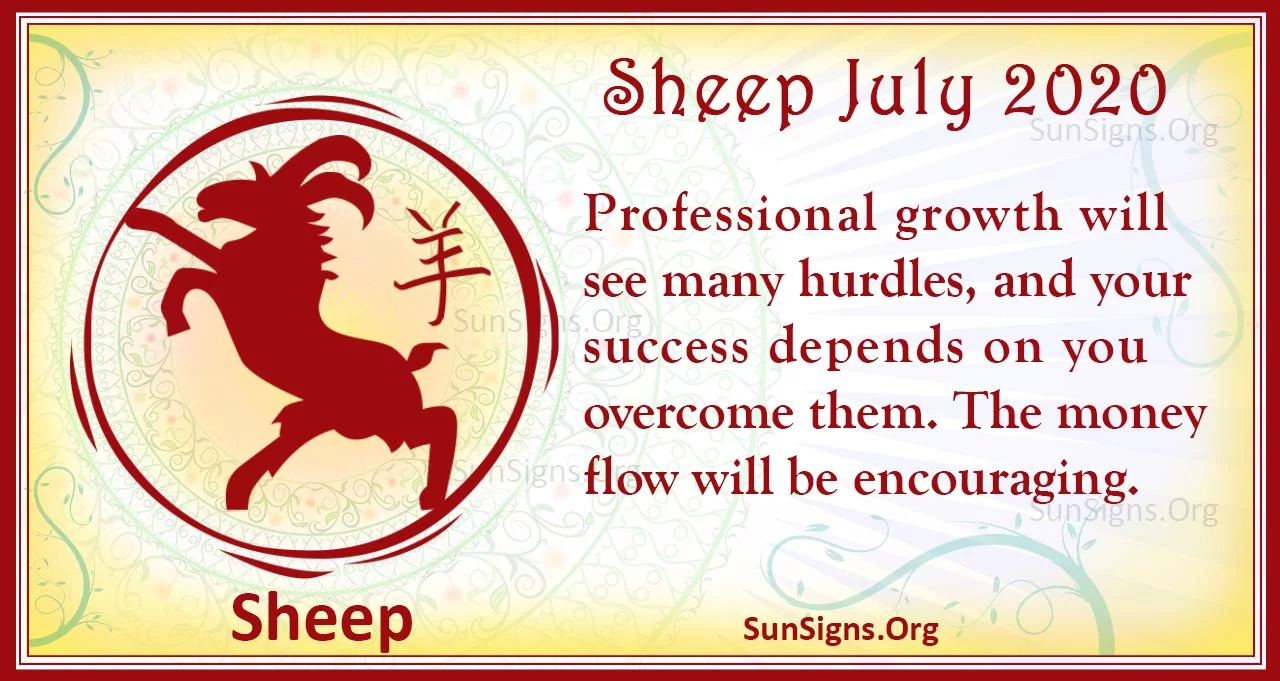 sheep july 2020