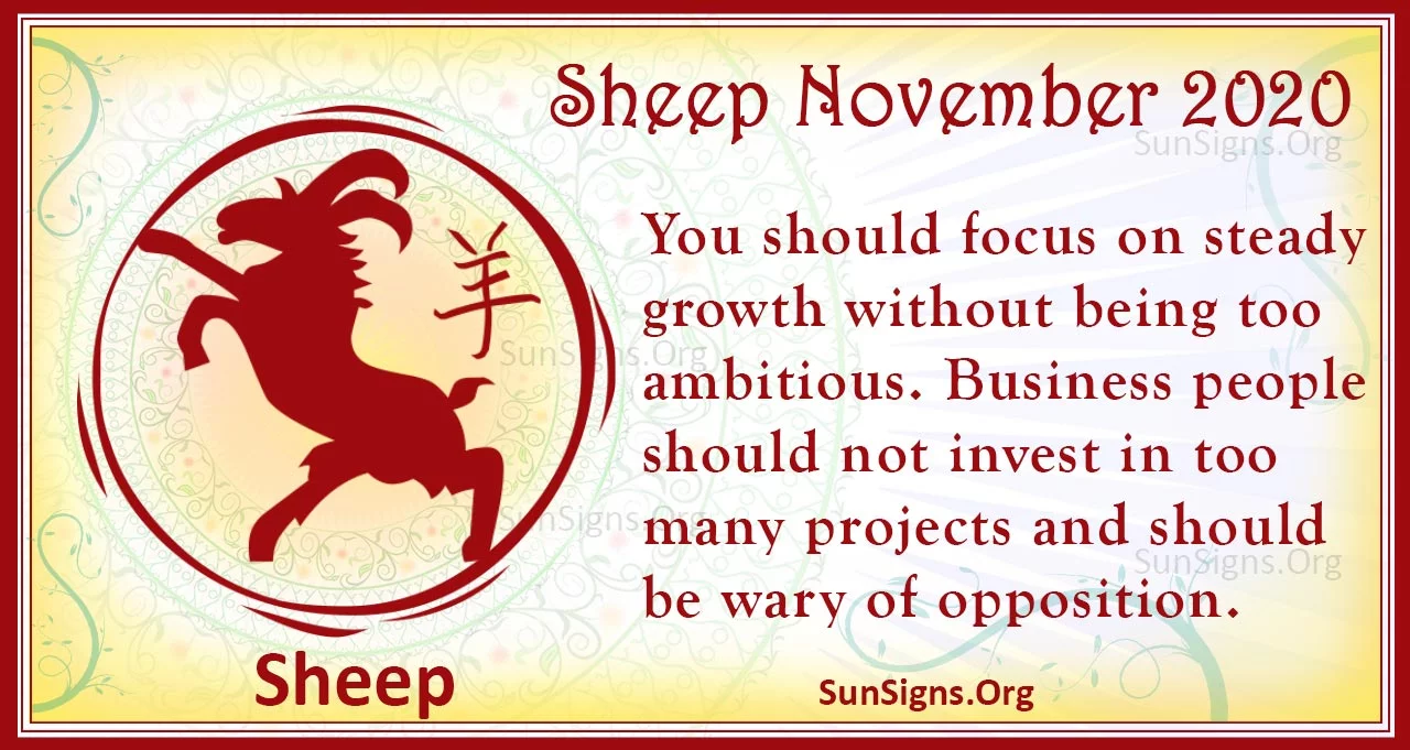 sheep november 2020