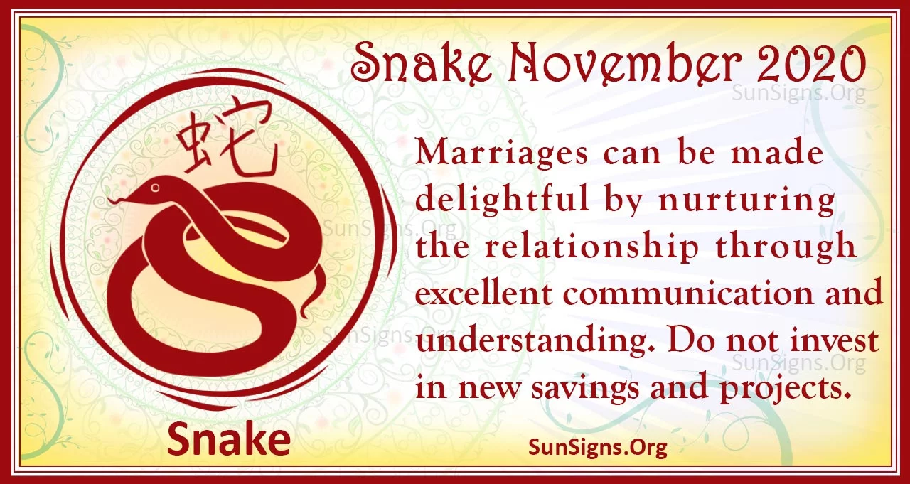 snake november 2020