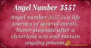 Angel Number 3557