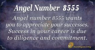 angel number 8555
