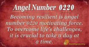 angel number 0220