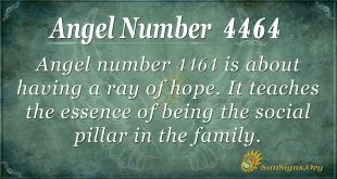 Angel Number 4464