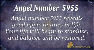 angel number 5955