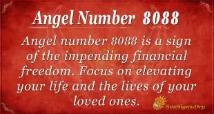angel number 8088