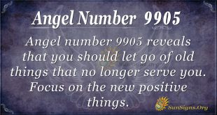 angel number 9905