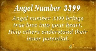 Angel number 3399