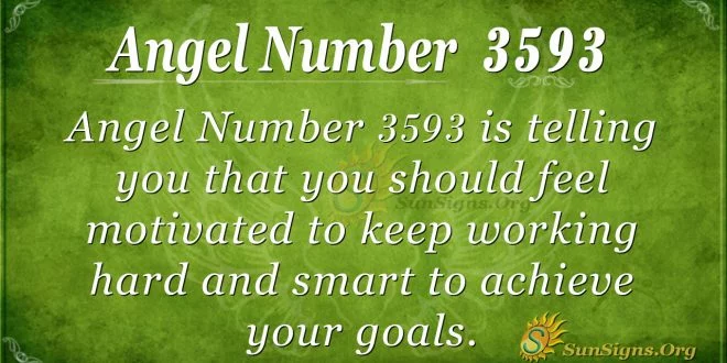 Angel number 3593