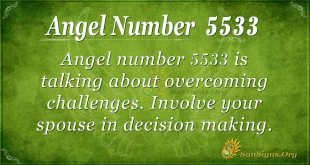 Angel number 5533