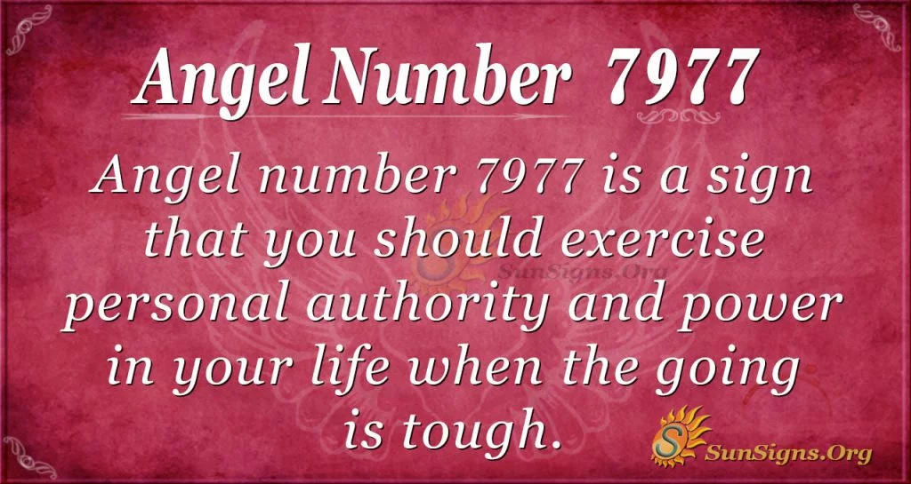 Angel number 7977