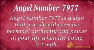Angel number 7977