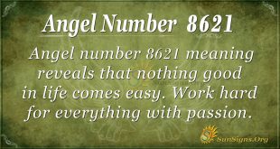 8621_angel_number