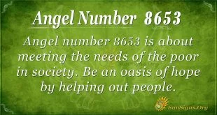 Angel number 8653
