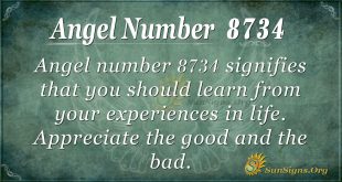 Angel Number 8734