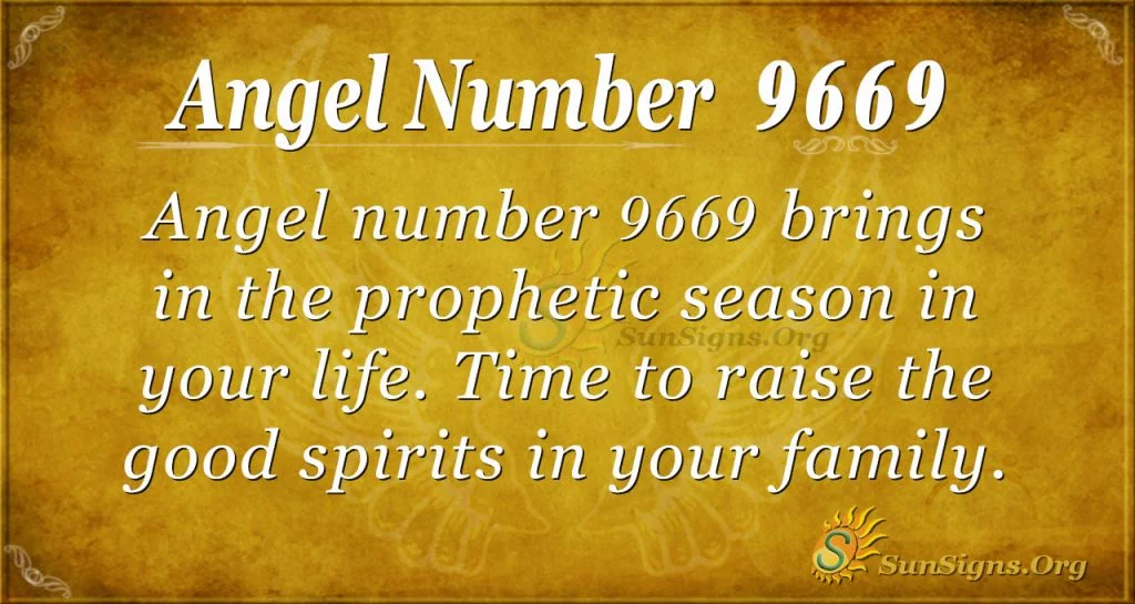 Angel number 9669