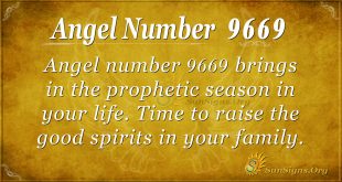 Angel number 9669