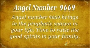 Angel number 9669