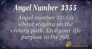 Angel Number 3355