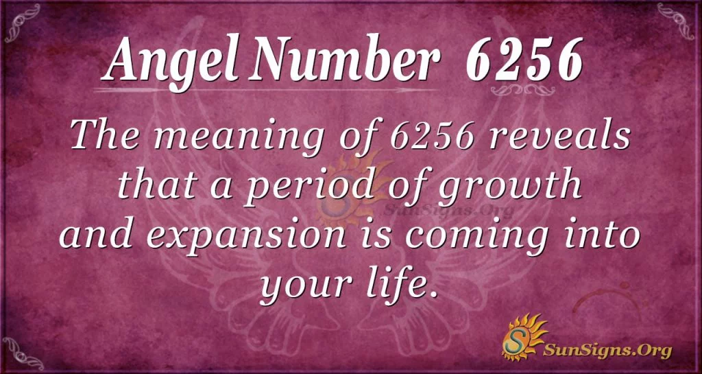 angel number 6256