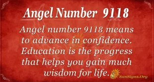 Angel Number 9118