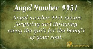 Angel number 9951