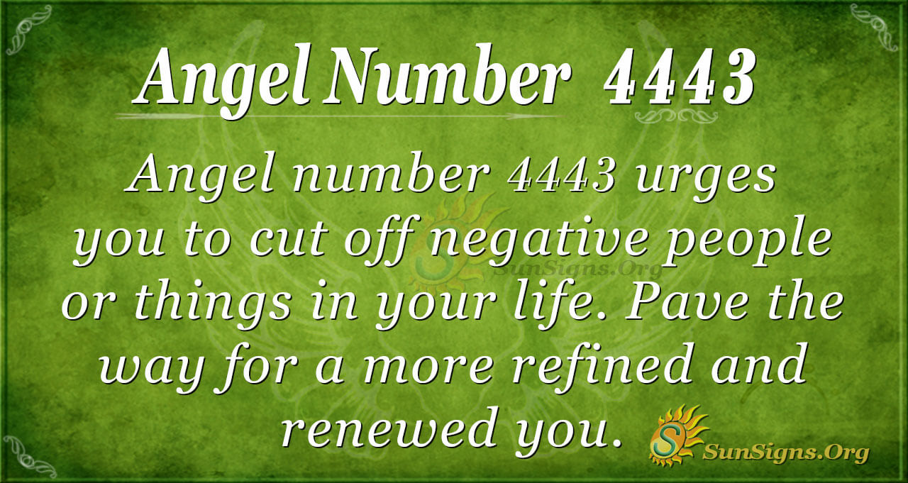 Angel Number 4443 Meaning: A More Refined And Renewed Life, 49% OFF