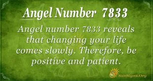 angel number 7833