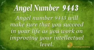 Angel number 9443