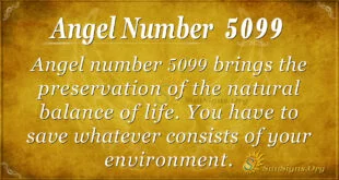 Angel number 5099