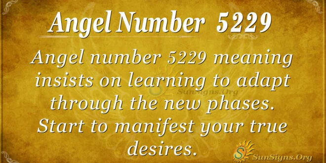 Angel number 5229