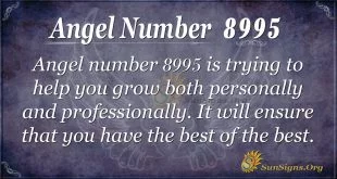 Angel number 8995