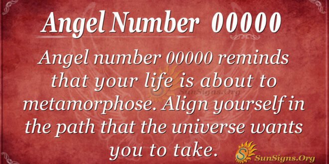 00000 angel number