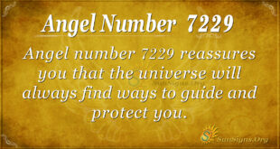 7229 angel number