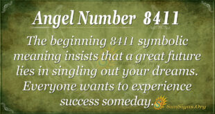 Angel Number 8411