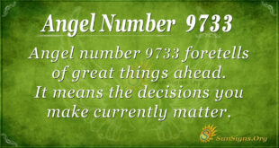 9733 angel number