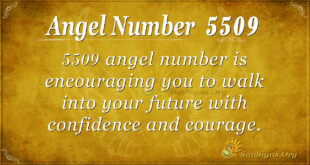 5509 angel number