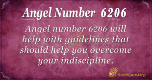 Angel Number 6206