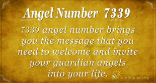 7339 angel number