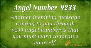 9233 angel number