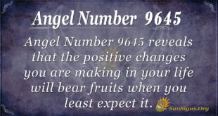 Angel Number 9645