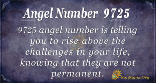 9725 angel number